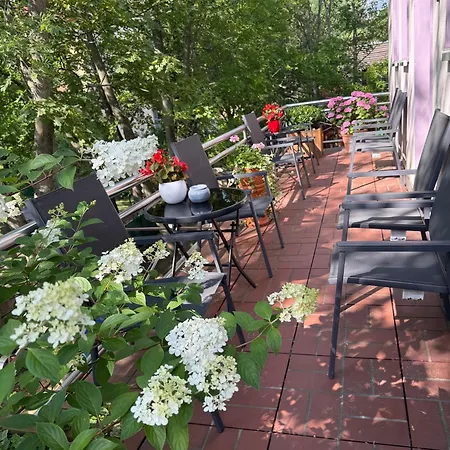 Modernes Familienapartment Mit Parkplatz Nahe Grosser Garten * Dresden