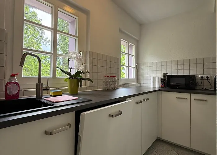 Appartement Modernes Familienapartment Mit Parkplatz Nahe Grosser Garten Dresde